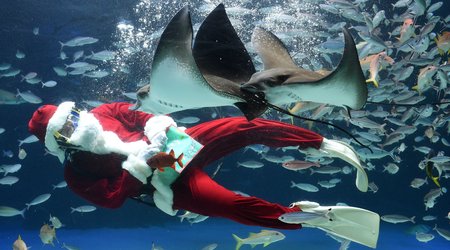 Pictures of the day: Photos from thursday 27th November 2014 - PHOTO