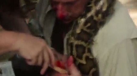 Piton "İlin alimi"ni burnundan dişlədi - VİDEO
