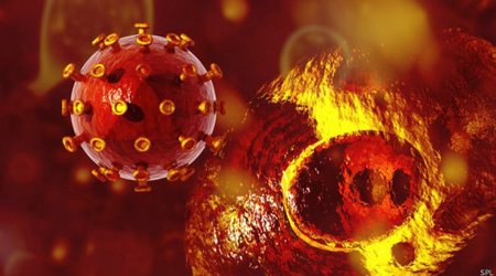HIV evolving 'into milder form'
