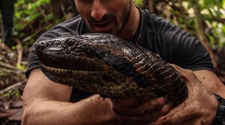 Daredevil naturalist reveals he was more scared for the animal\'s safety than his own