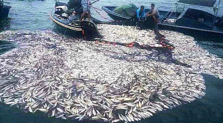 Chinese fishermen under fire for using home-made BOMBS - VIDEO