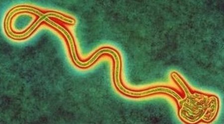 Ebola serum supply reaches Liberia
