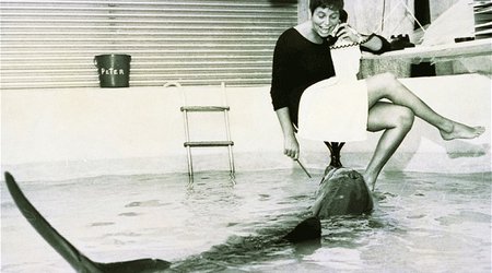 The woman who lived in sin with a dolphin