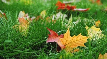 Baku weather forecast for Dec. 20