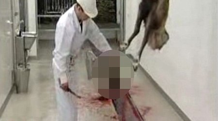Rudolph's gruesome fate