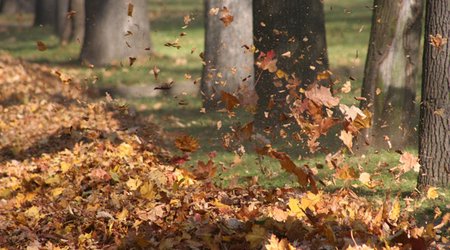 Baku weather forecast for Dec. 26