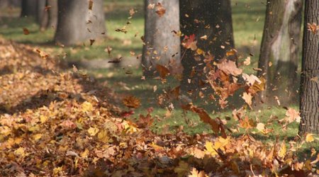 Baku weather forecast for Dec. 27