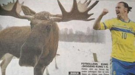 İbrahimoviç yarım tonluq maralı ovladı