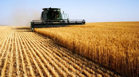 Azerbaijan to increase grain reserves