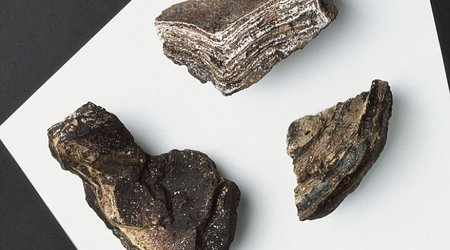 Whale vomit is an APHRODISIAC