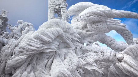 Həyatın fotoşopsuz 20 anı - FOTOLAR