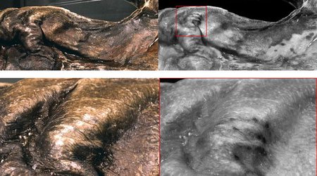 Ötzi the iceman's hidden tattoos uncovered