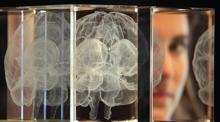 Do YOU have the smart gene?