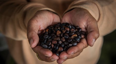 The science that proves why coffee is basically the best thing ever