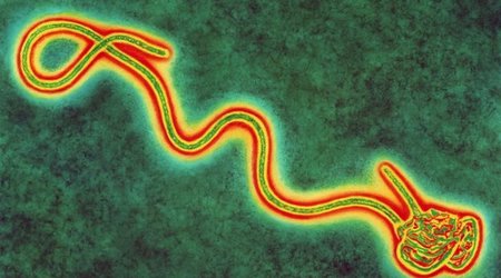 Ebola: Seventh British health worker sent home