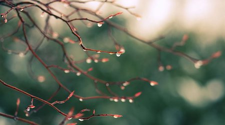 Baku weather forecast for March 20