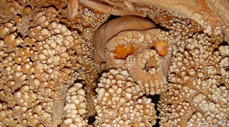 Neanderthal who fell down sinkhole 150,000 years ago