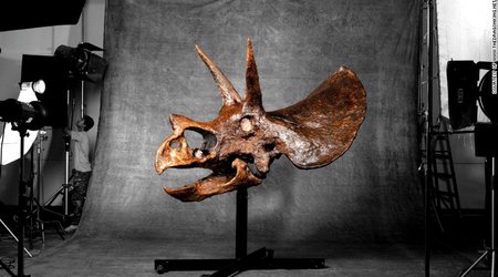How a $1.8 million dinosaur skull went from Montana to Hong Kong