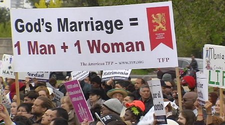 US anti-same sex marriage march in Washington