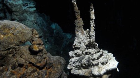 Newly found microbe is close relative of complex life