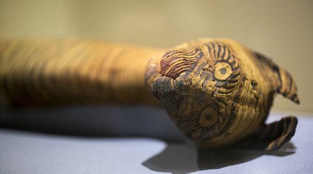 The FAKE mummies