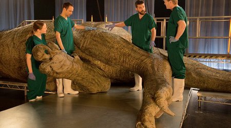 Scientists to carry out 'autopsy' on life-sized T-Rex replica to solve mysteries of huge predator