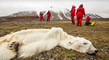 Dramatic photos from around the globe