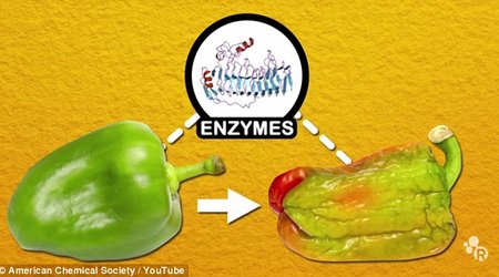 It IS safe to microwave food - and frozen veg IS better than fresh