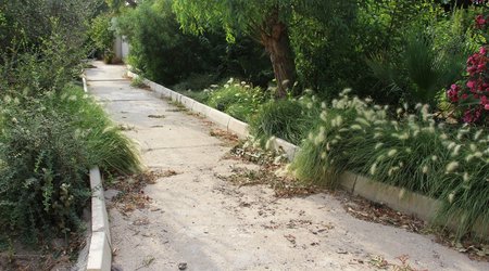 Məşhur milyonçunun füsunkar bağından acınacaqlı FOTOLAR