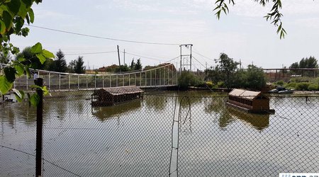 Bakı-Qazax şossesində mini-zoopark – REPORTAJ