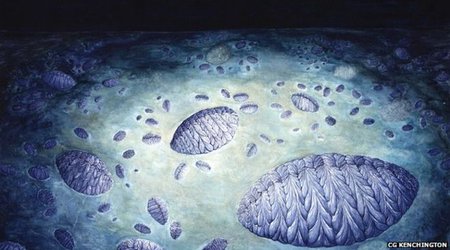 Sex life of ancient Fractofusus organism revealed
