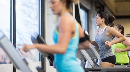 Cardio vs weight training?