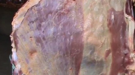 Video shows giant slab of meat PULSATE
