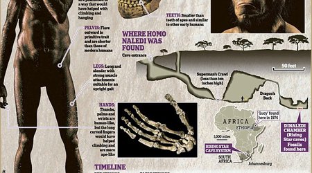 Is this the first human?