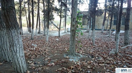 Дорога в море через свалку - ФОТО