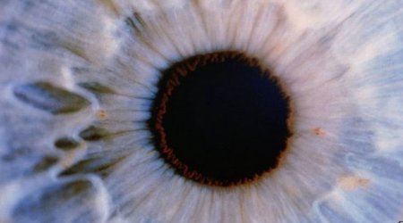 How can scientists 'cure' blindness?