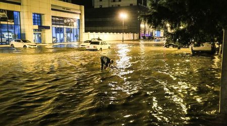 Bakı güclü yağışdan sonra - FOTOLAR