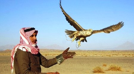 Ərəb şeyxləri ov zamanı qanunlarımızı pozduqlarına görə cəza aldılarmı? - ARAŞDIRMA