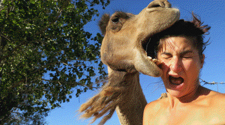 The dangerous art of the ultimate selfie