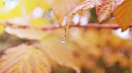 Baku weather forecast for Oct.17