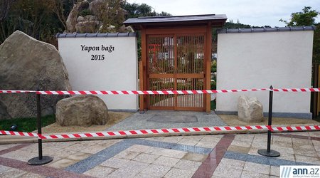 Dörd günlük "Yapon bağı" - FOTOLAR