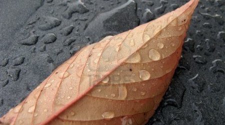 Baku weather forecast for Oct.22