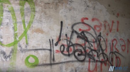 NO COMMENT: Zəmanəmizin "saqqalı uşaqlar"ı - ANN.TV