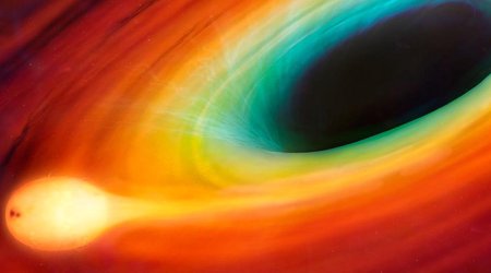 Watch a black hole pull a star to piece