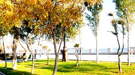 Baku weather forecast for Nov. 5