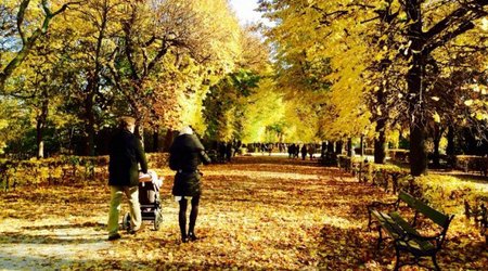 Avropa şəhərləri: Qızıl Vyana - FOTOREPORTAJ