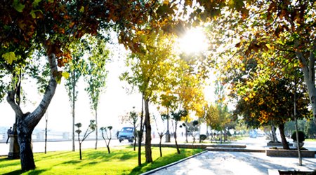 Baku weather forecast for Nov. 6
