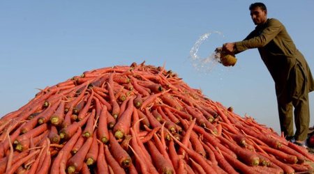 World Trade Organization strikes 'historic' farming subsidy deal