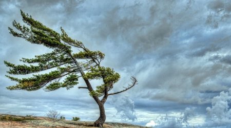 Baku weather forecast for Jan. 7