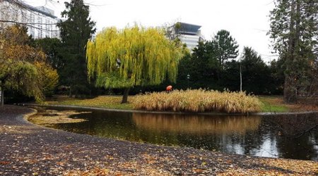 Ştadpark: Avstriya paytaxtının mərkəzində kültür bucağı – REPORTAJ 